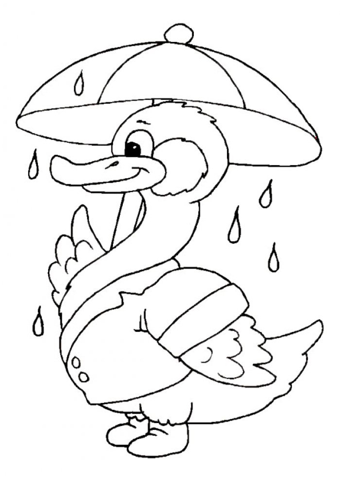 Canard sous son parapluie