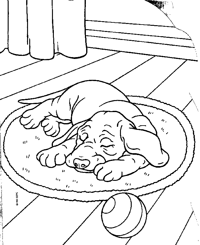 Chien qui dort