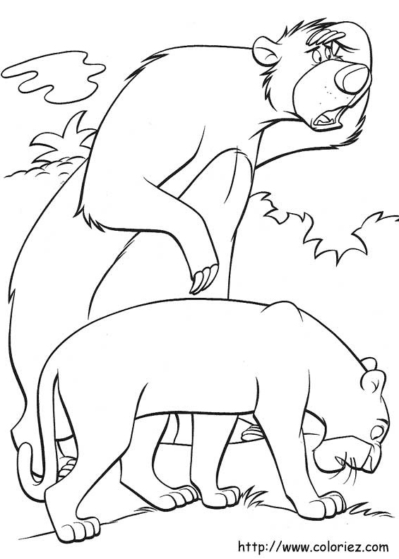 A la recherche de Mowgli