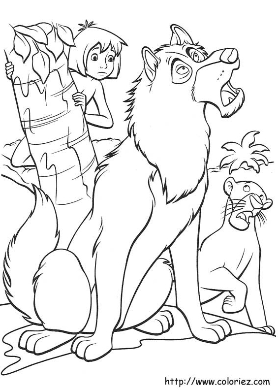 Akela et Mowgli