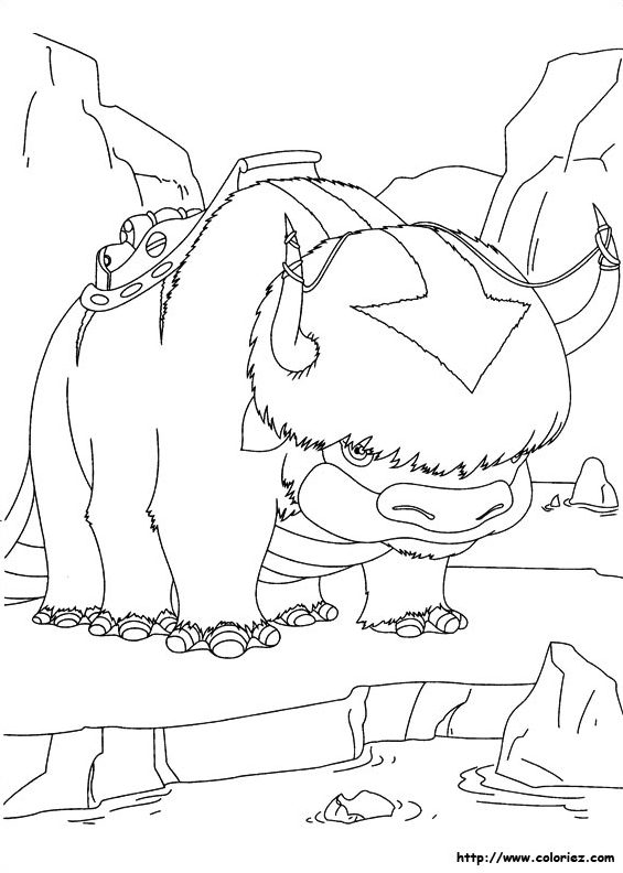 Appa le bison volant