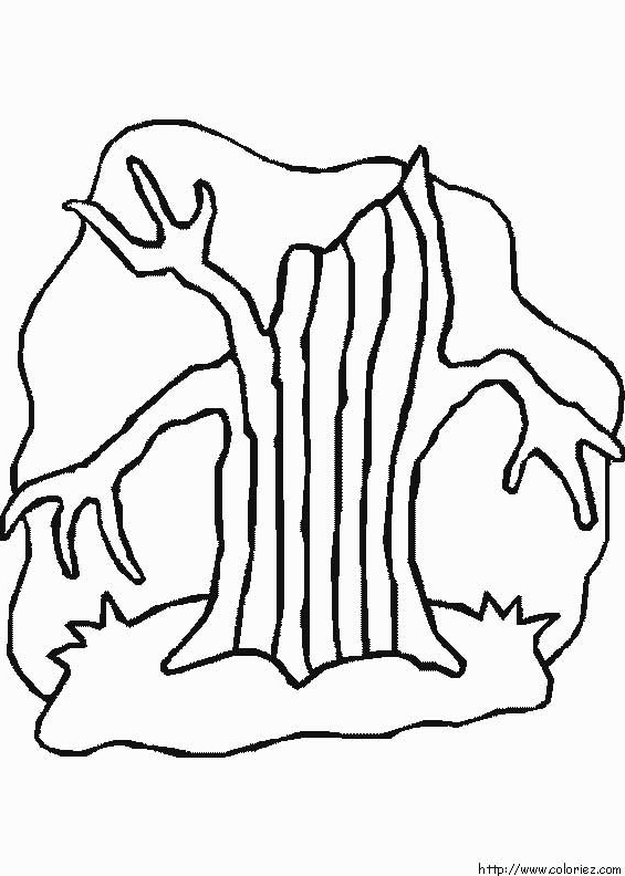 Arbre fantomatique
