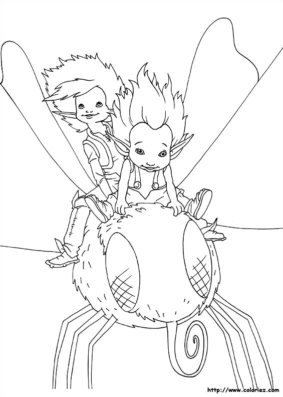 Arthur et Betameche sur une mouche