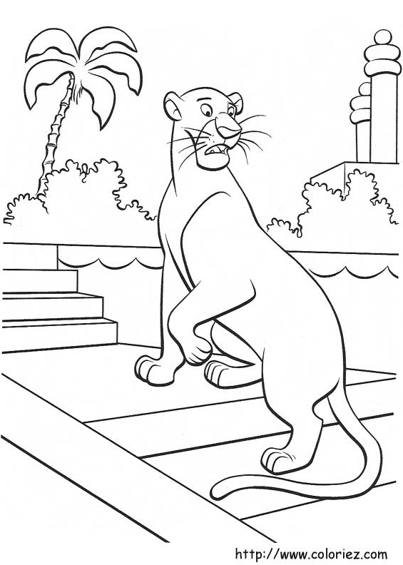 Bagheera