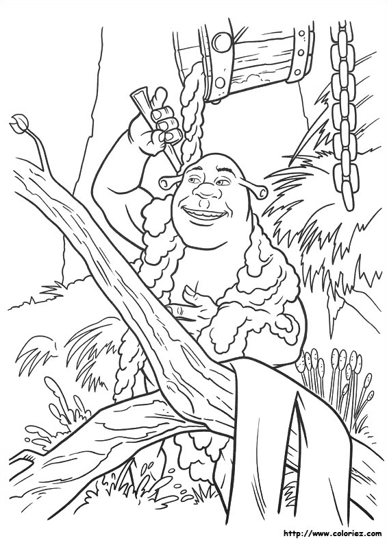 Bain de Shrek