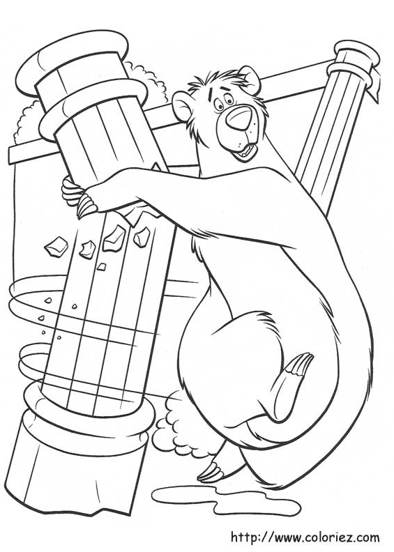 Baloo casse tout