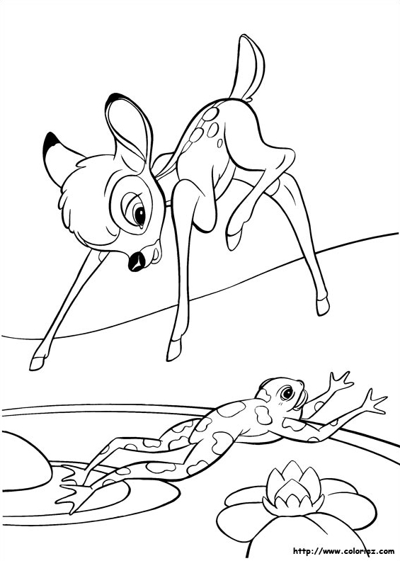 Bambi et la grenouille