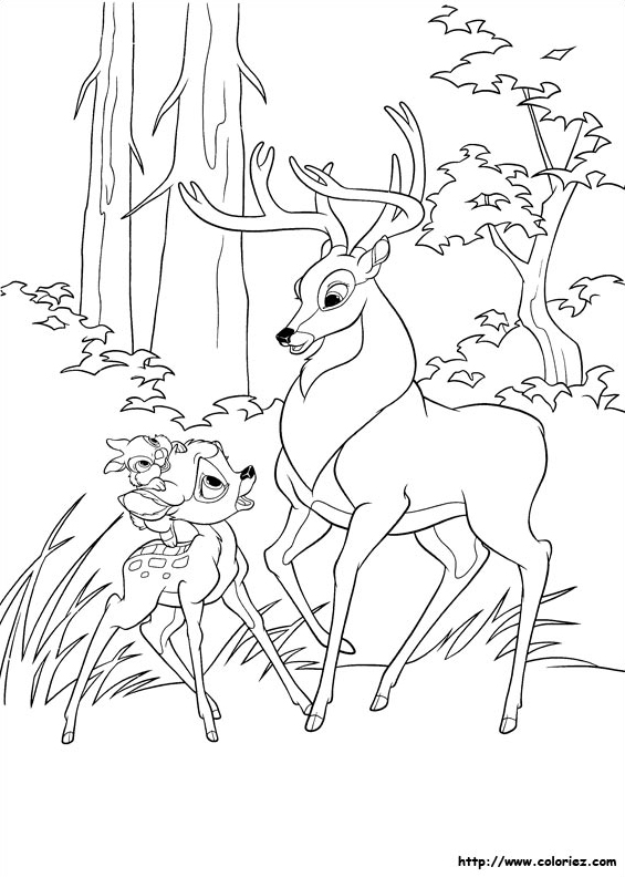 Bambi et le grand prince