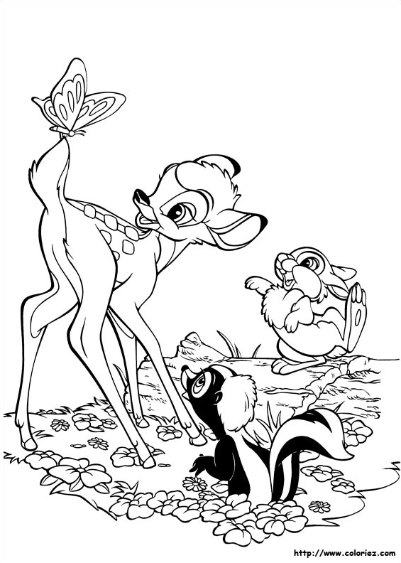 Bambi et le papillon