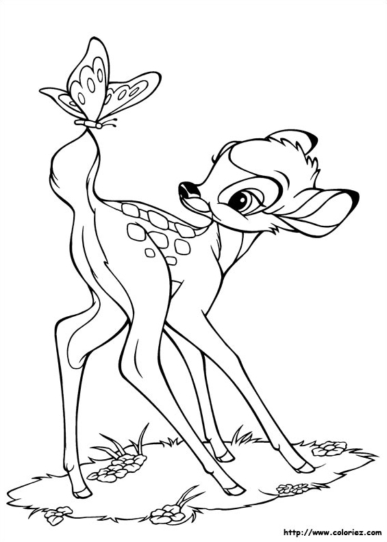 Bambi et le papillon