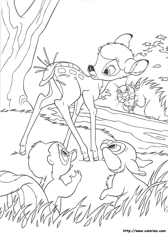 Bambi et le porc-épic