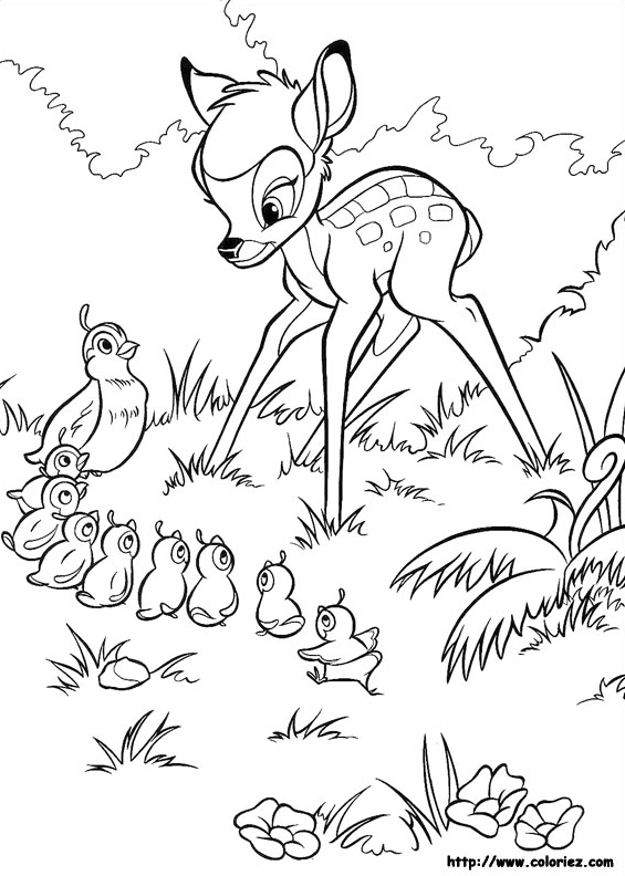 Bambi et les moineaux
