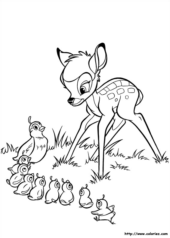 Bambi et les oiseaux