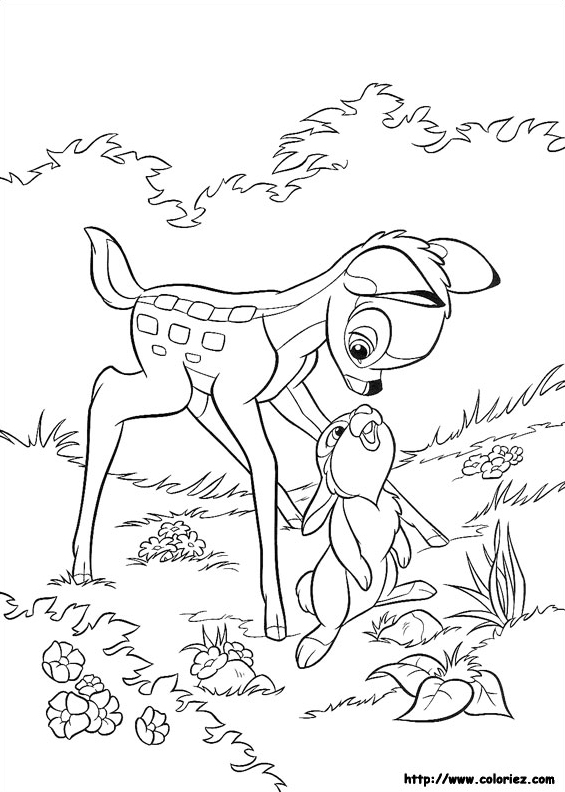 Bambi et Pampan sont amis