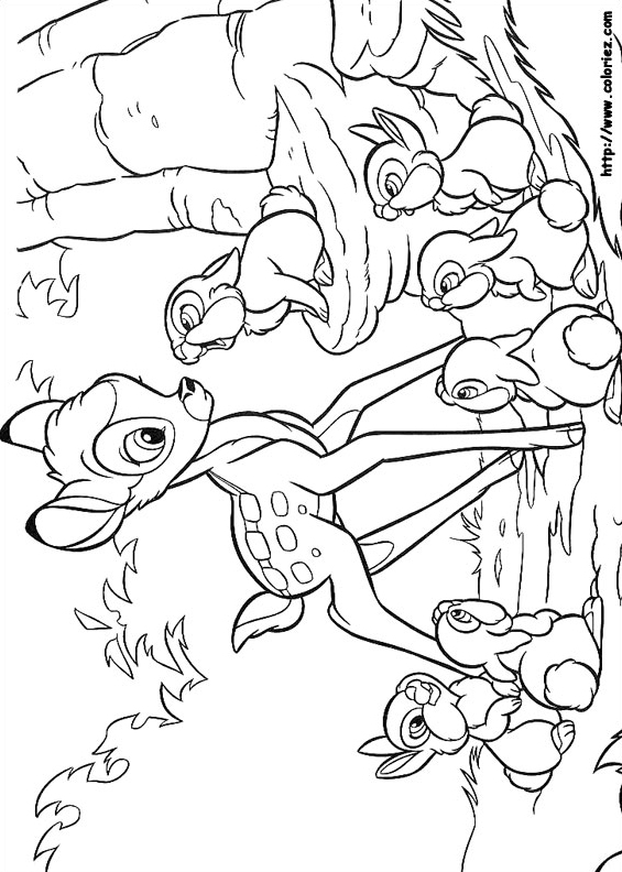 Bambi et les lapins