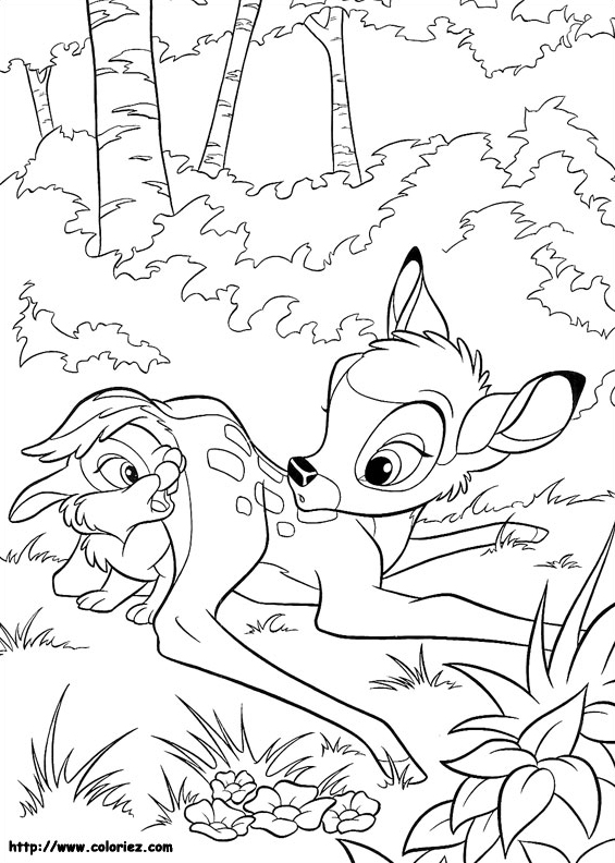 Bambi joue avec Pampan