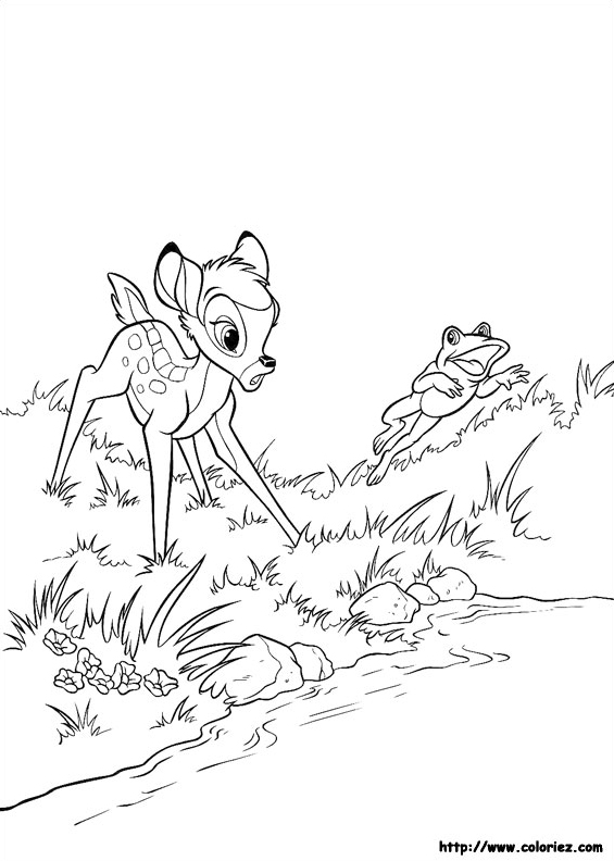Bambi poursuit un crapaud