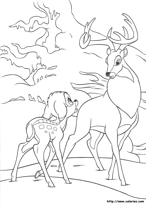 Bambi qui devient grand