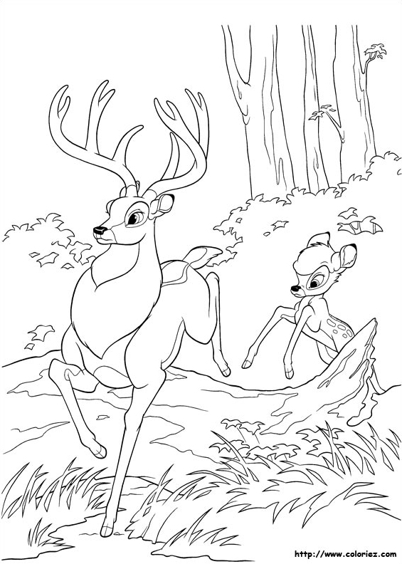 Bambi qui imite son père