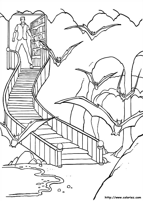 Batman et les chauves-souris