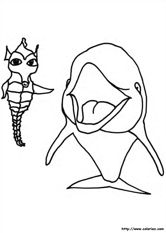 Biig boss et le dauphin