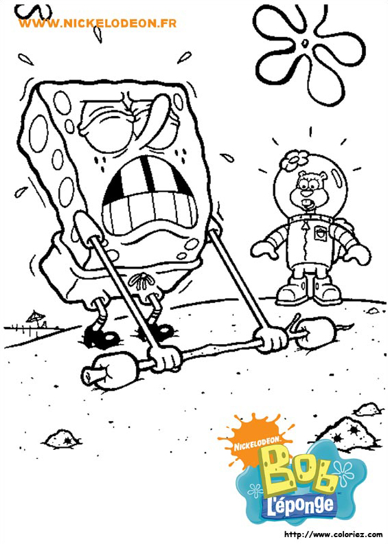 Bob fait de la musculation