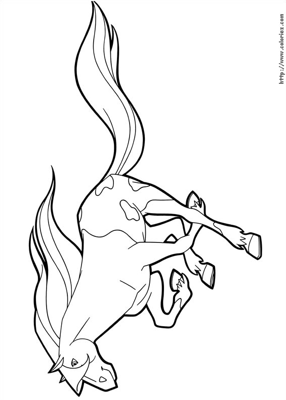 Calypso au galop