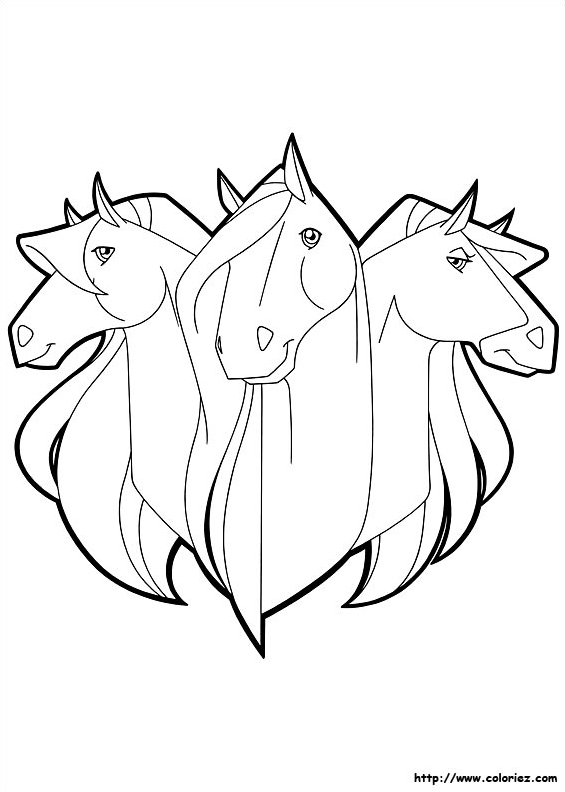 Calypso, Scarlet et Chili