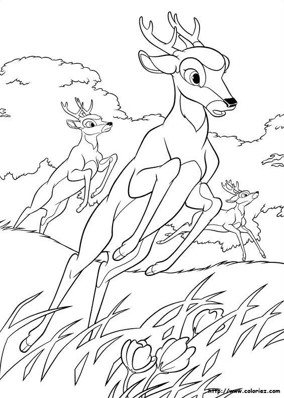 Cerfs