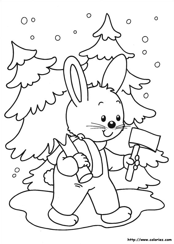 Chacun son sapin de Noël