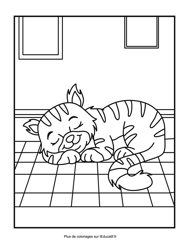 Coloriage chat dormant sur le sol