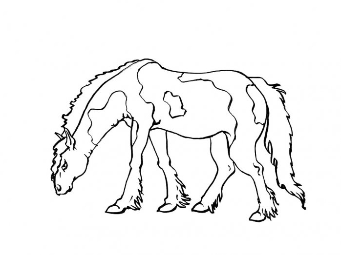 Coloriage cheval
