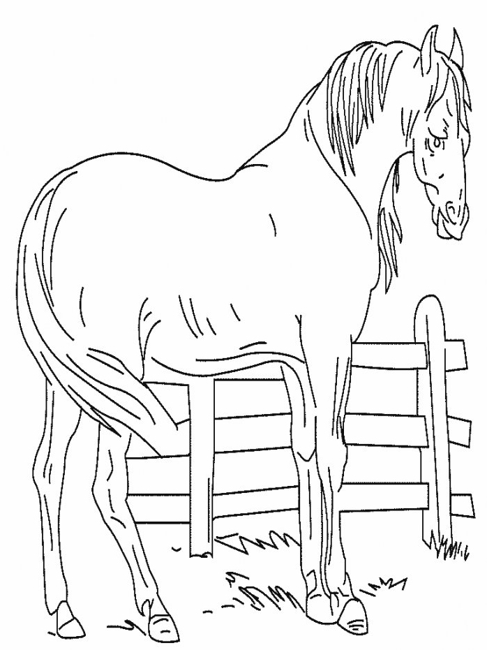 Coloriage cheval dans l'étable