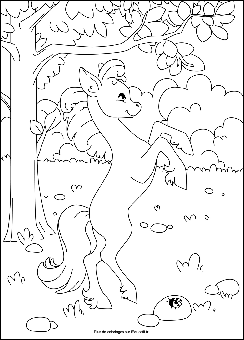 Coloriage Cheval mignon