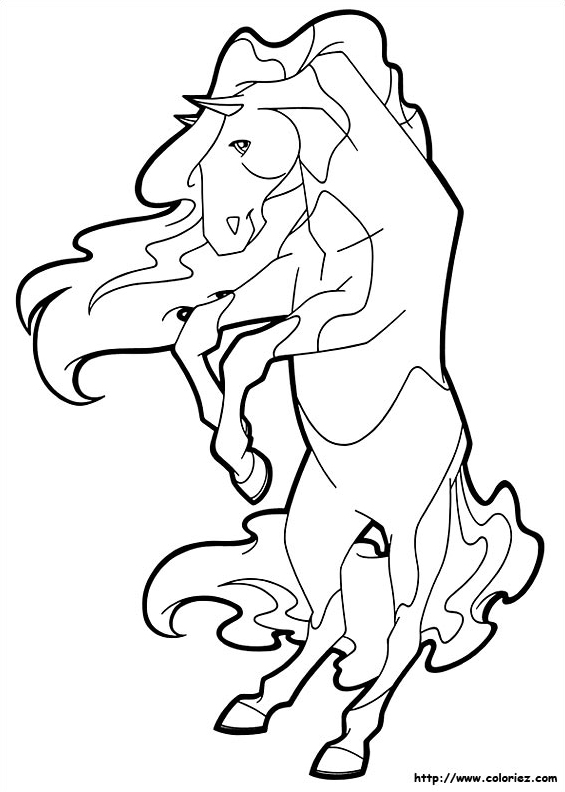Cheval qui rue