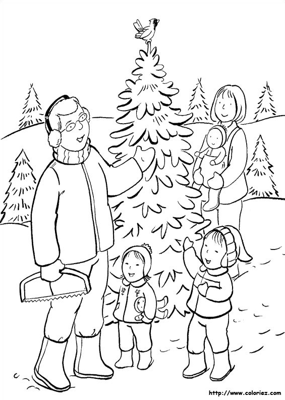 Choix du sapin de Noël