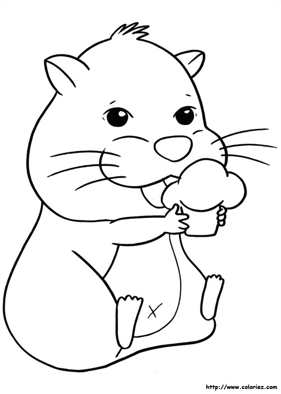 Chunk gourmand