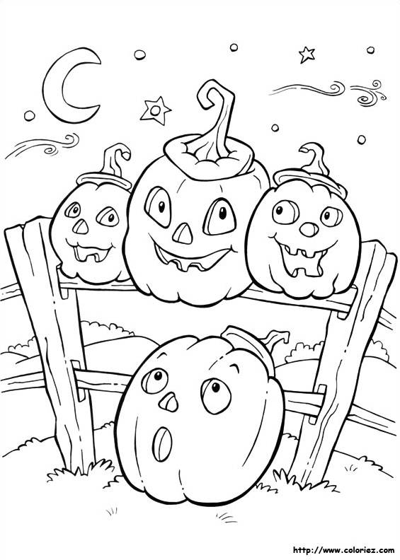 Citrouilles sous la lune
