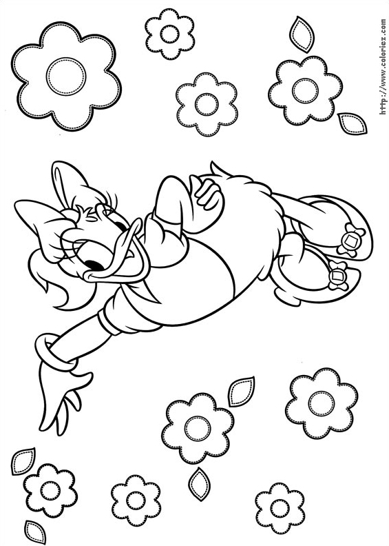 Daisy