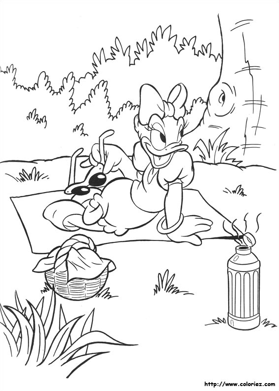 Daisy au pique nique