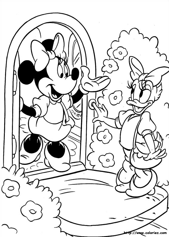 Daisy chez Minnie