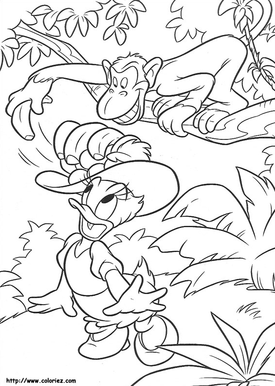 Daisy et le singe de la jungle