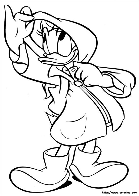 Daisy et son ciré