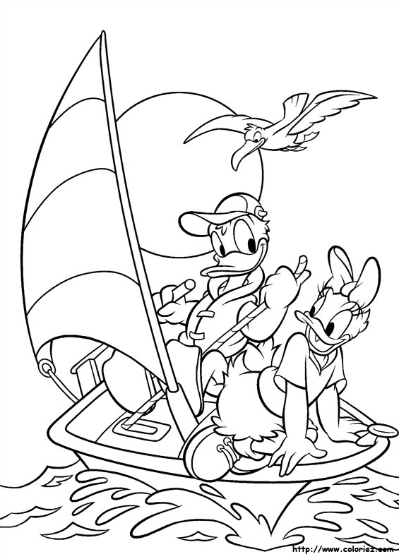 Daisy qui fait de la voile