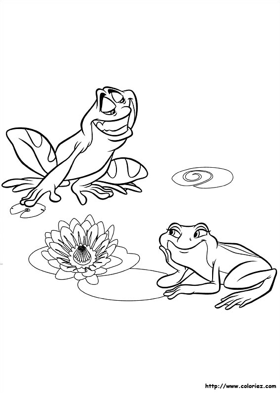 Deux grenouilles