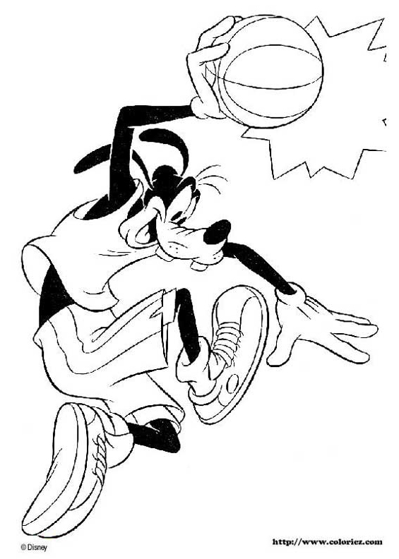 Dingo joue au basket