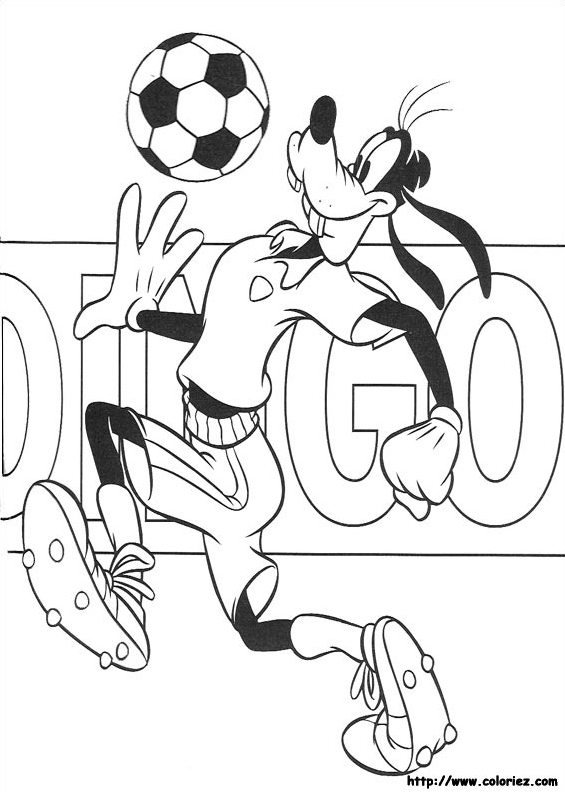 Dingo la star du foot