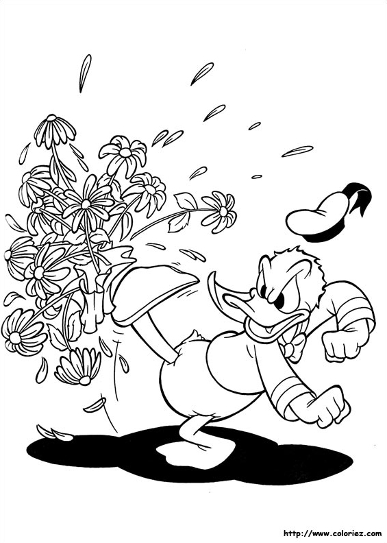 Dites-le avec des fleurs
