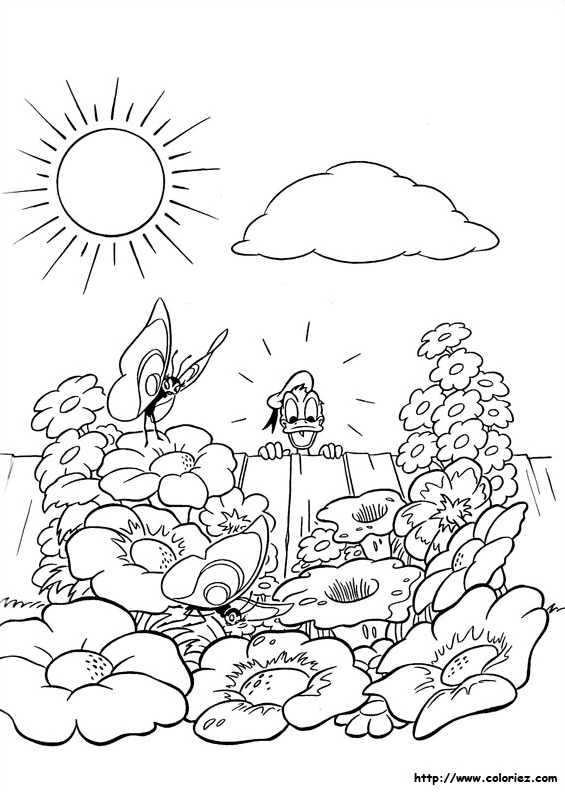 Donal et le jardin merveilleux