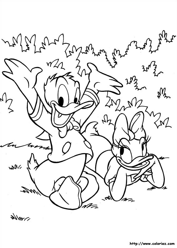Donald et Daisy à  la campagne